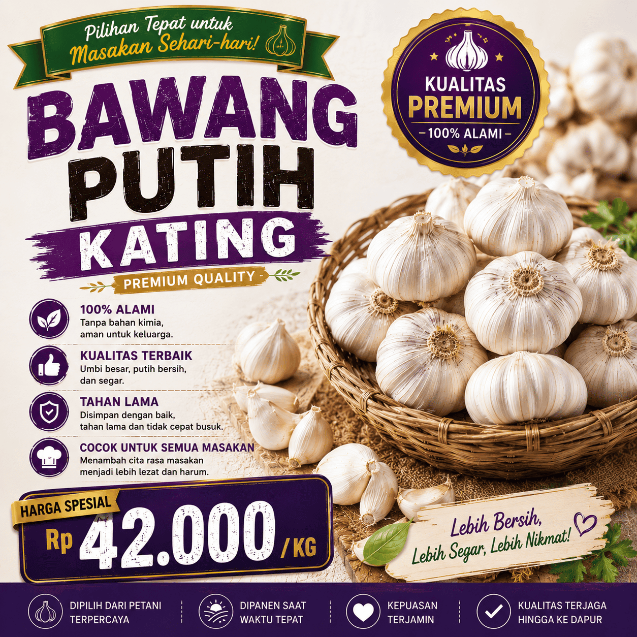 Bawang Putih Kating