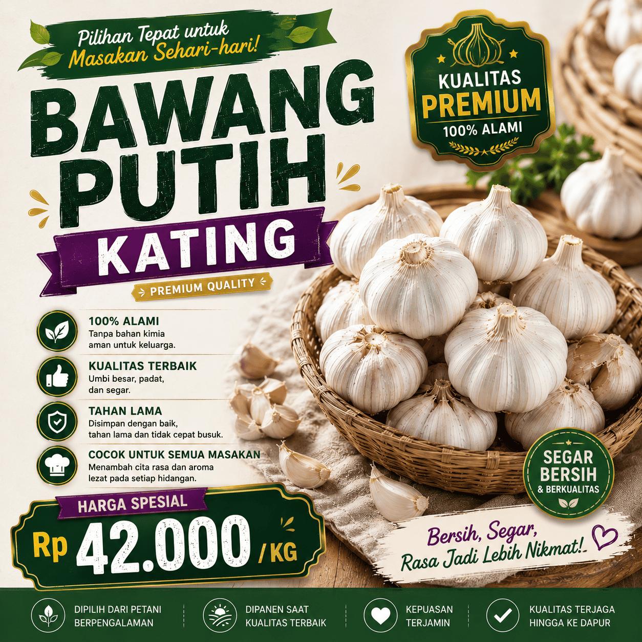 Bawang Putih Kating