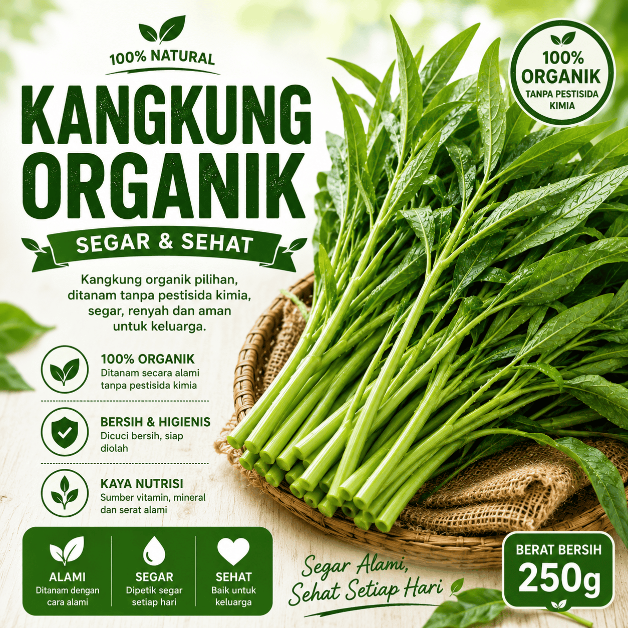 Kangkung Organik